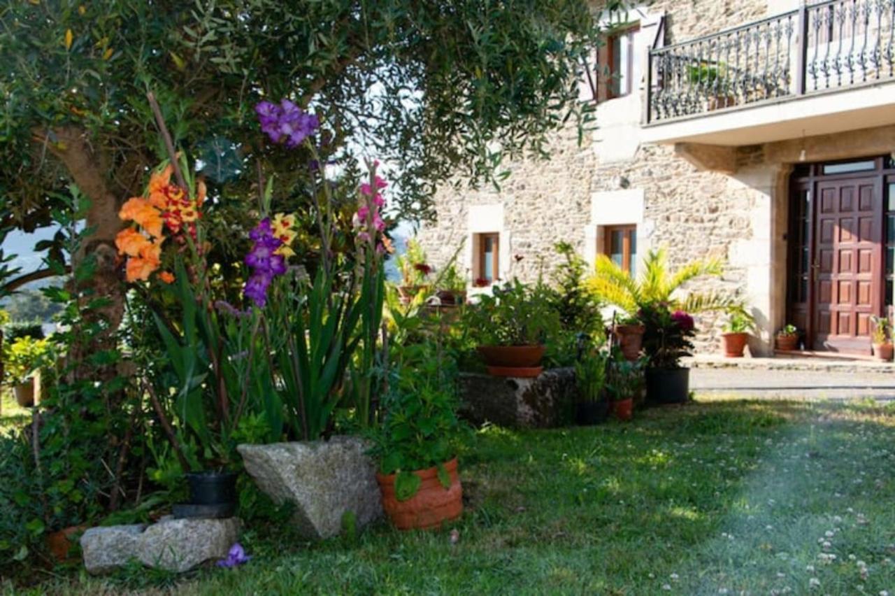 Vieiro Verde Extérieur photo